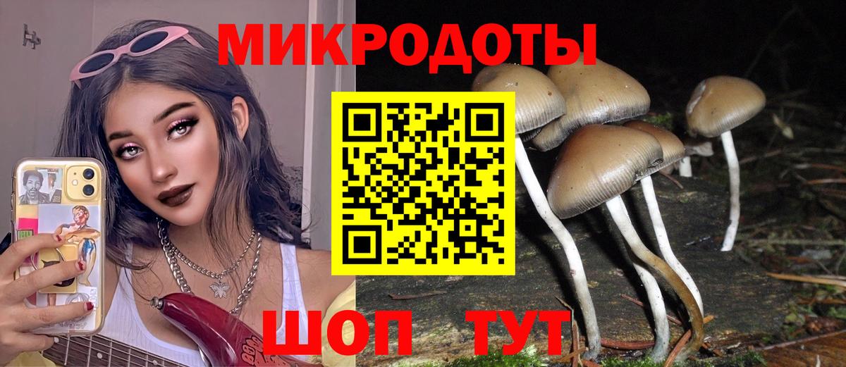Галлюциногенные грибы Psilocybe  Вход с VPN  Тимашёвск 